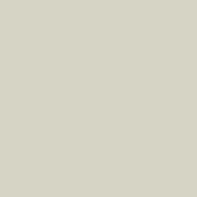 Stone paint swatch
