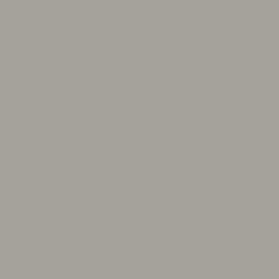 Stone grey paint swatch