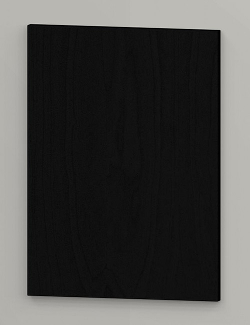 TP16P birch vertcial veneer flush door - black k49
