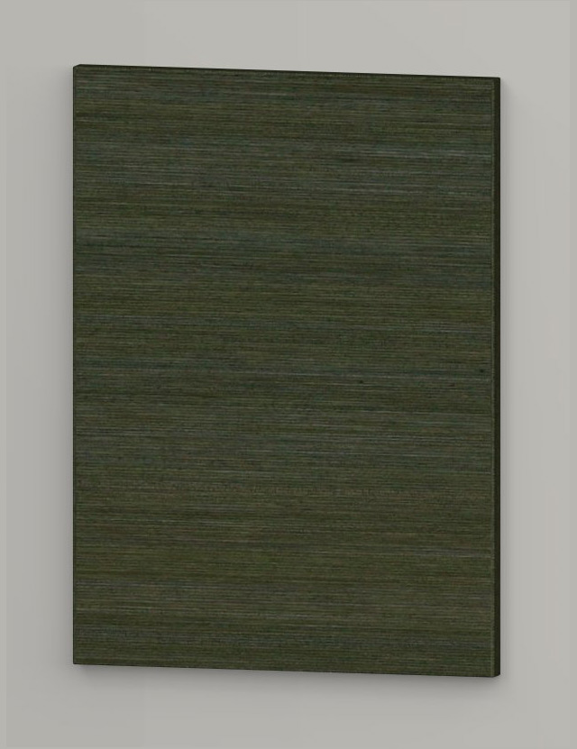 TP16V horizintal birch veneered door - wild green