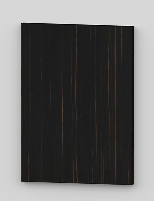 Flush door with technical veneer finish - makassar