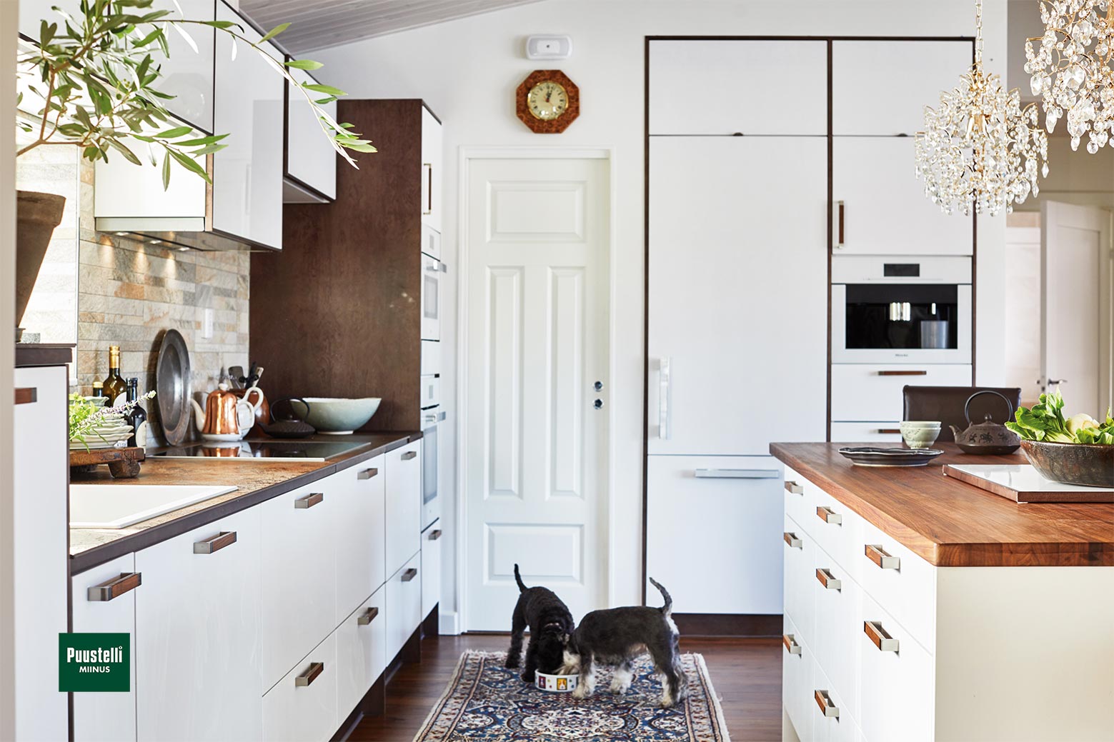 Puustelli Miinus ecological kitchen in white and lacquered dark brown birch veneer side view